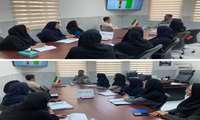 برگزاری کارگروه سقط جنین با هدف کاهش موارد سقط 